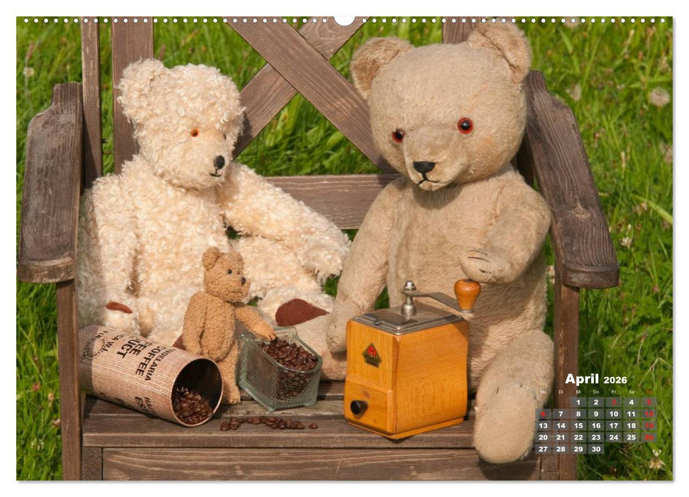 Geliebte Bären - Teddys (CALVENDO Premium Wandkalender 2026)