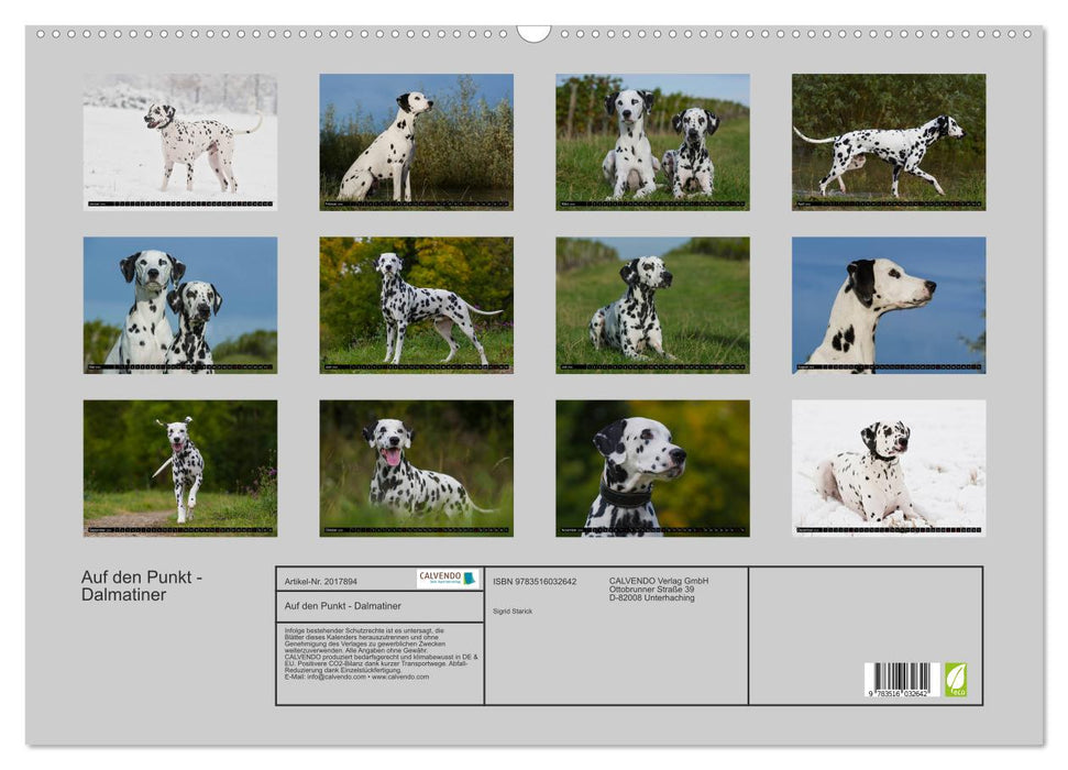 Auf den Punkt - Dalmatiner (CALVENDO Wandkalender 2026)