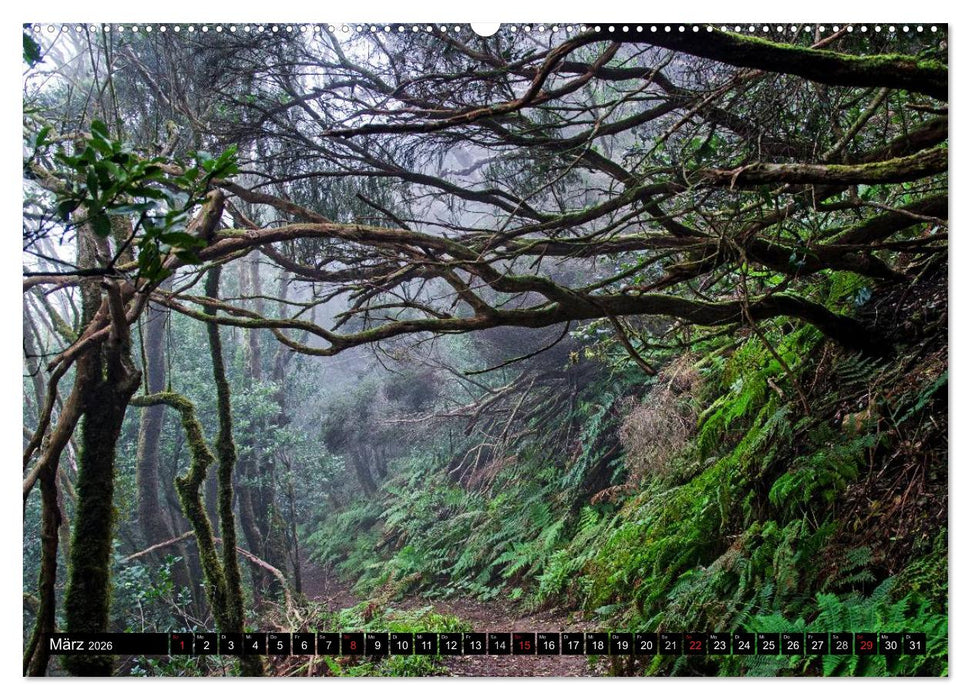 Teneriffas rauer Norden (CALVENDO Wandkalender 2026)