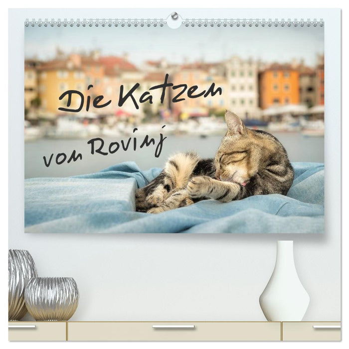 Die Katzen von Rovinj (CALVENDO Premium Wandkalender 2026)