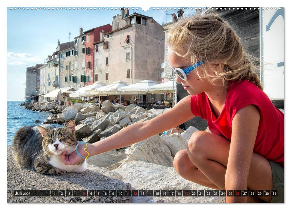 Die Katzen von Rovinj (CALVENDO Premium Wandkalender 2026)