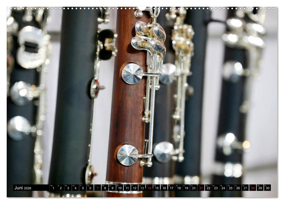 Die Welt der Musikinstrumente (CALVENDO Wandkalender 2026)