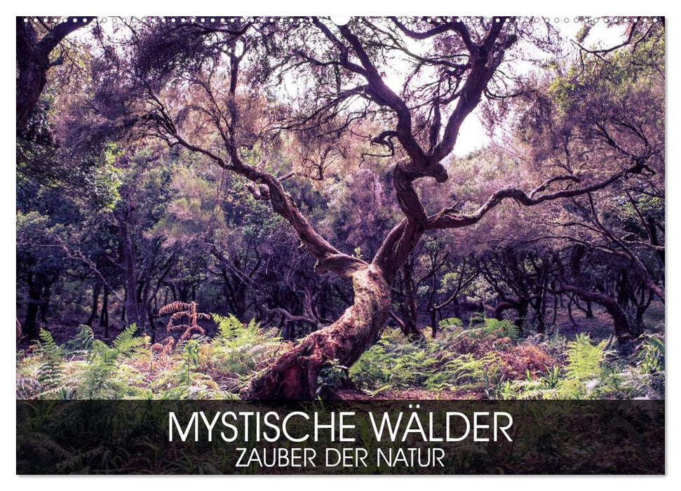 Mystische Wälder - Zauber der Natur (CALVENDO Wandkalender 2026)