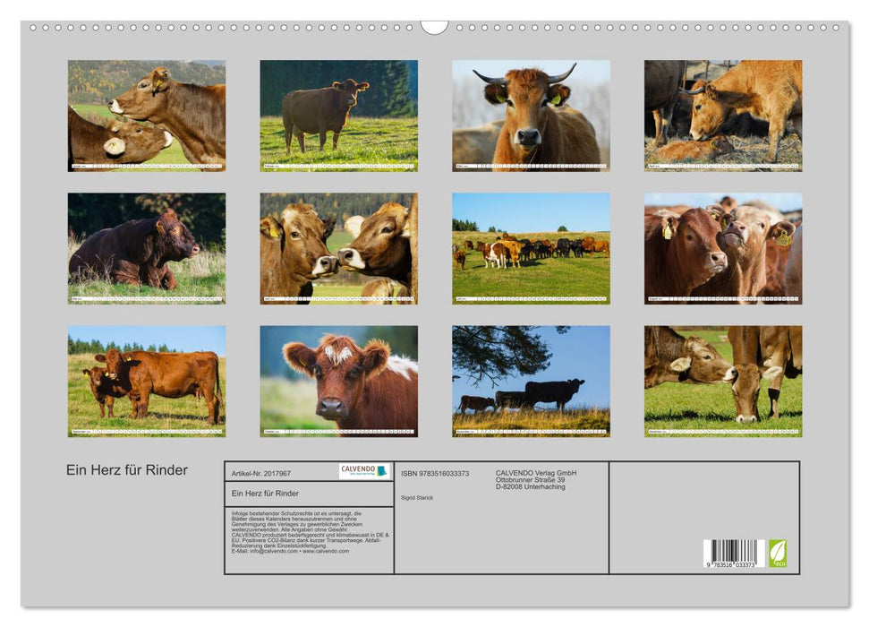 Ein Herz für Rinder (CALVENDO Wandkalender 2026)