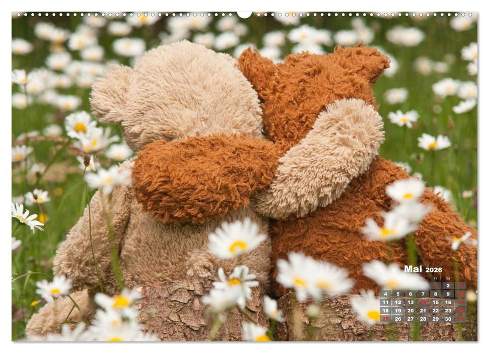 Geliebte Bären - Teddys (CALVENDO Wandkalender 2026)