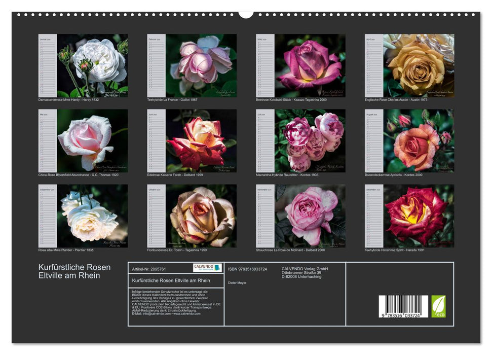 Kurfürstliche Rosen Eltville am Rhein (CALVENDO Premium Wandkalender 2026)