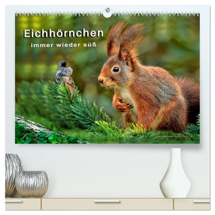 Eichhörnchen - immer wieder süß (CALVENDO Premium Wandkalender 2026)