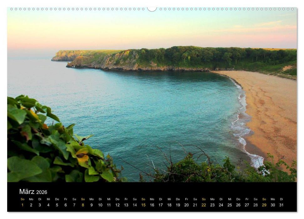 Wales Pembrokeshire - Natur im Fokus- (CALVENDO Premium Wandkalender 2026)