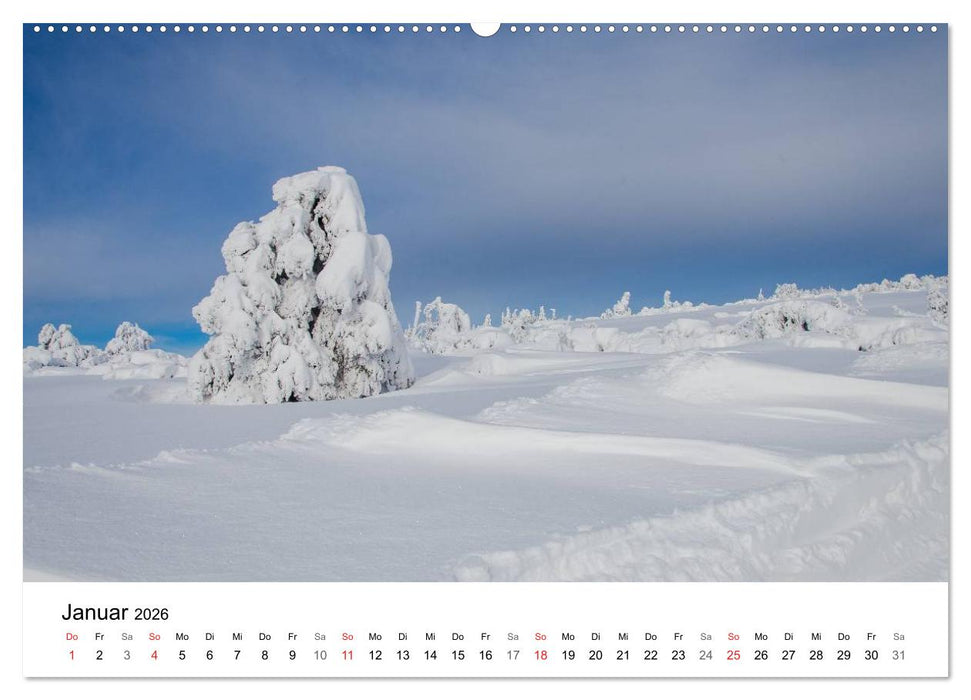 Naturerlebnis Nordschwarzwald (CALVENDO Premium Wandkalender 2026)
