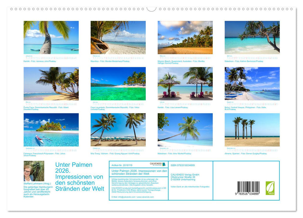 Unter Palmen 2026. Impressionen von den schönsten Stränden der Welt (CALVENDO Premium Wandkalender 2026)