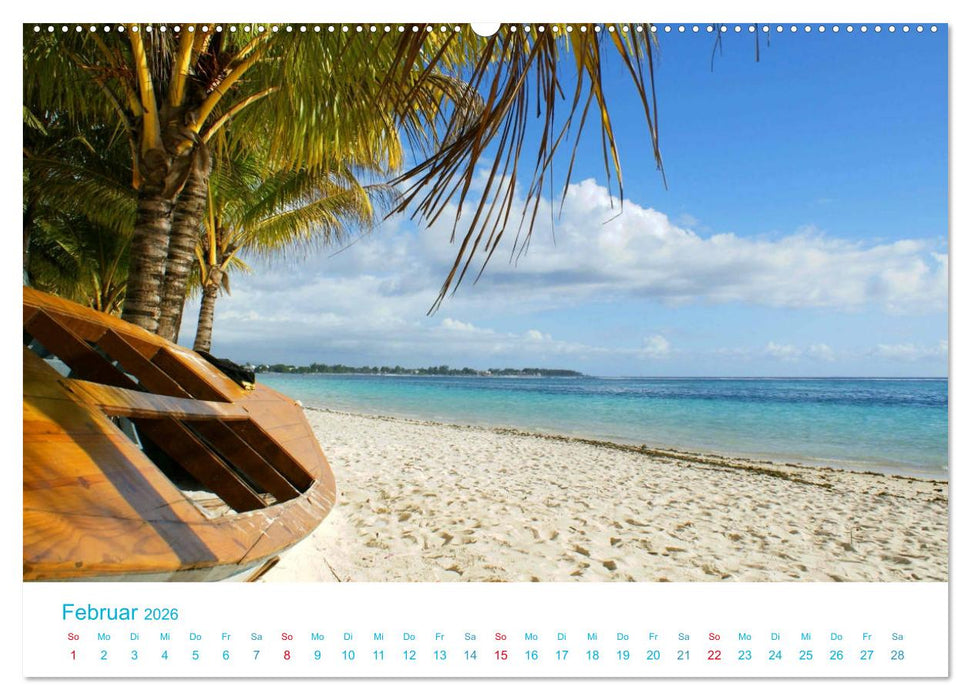 Unter Palmen 2026. Impressionen von den schönsten Stränden der Welt (CALVENDO Premium Wandkalender 2026)