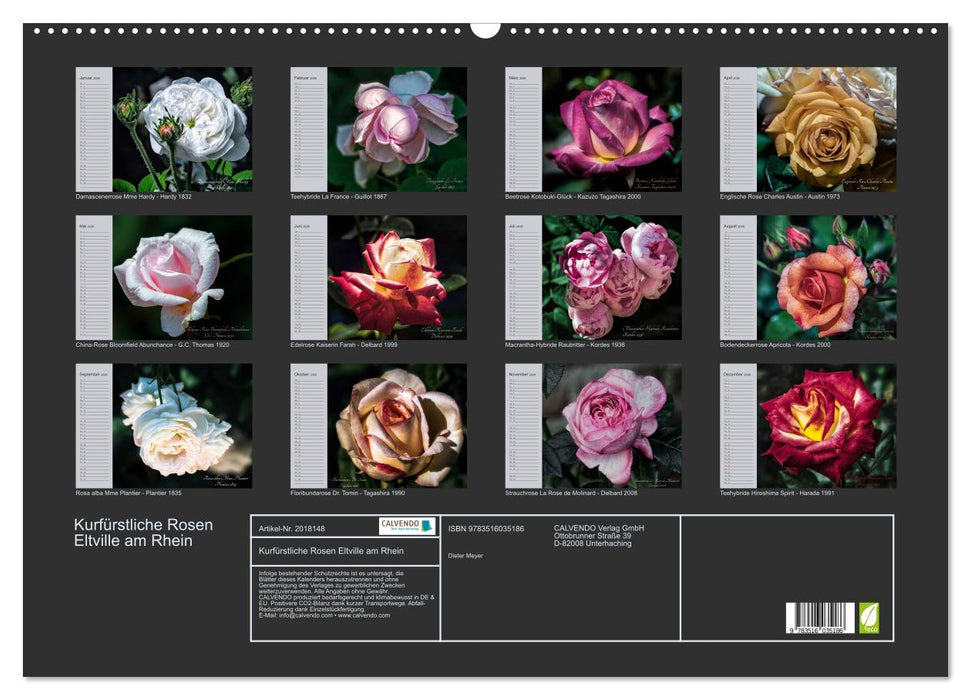 Kurfürstliche Rosen Eltville am Rhein (CALVENDO Wandkalender 2026)