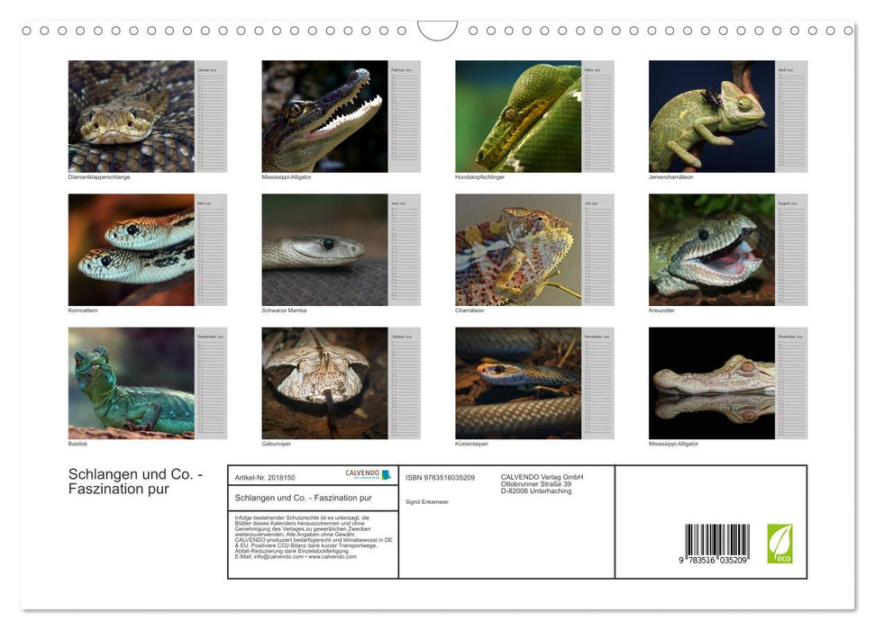 Schlangen und Co. - Faszination pur (CALVENDO Wandkalender 2026)