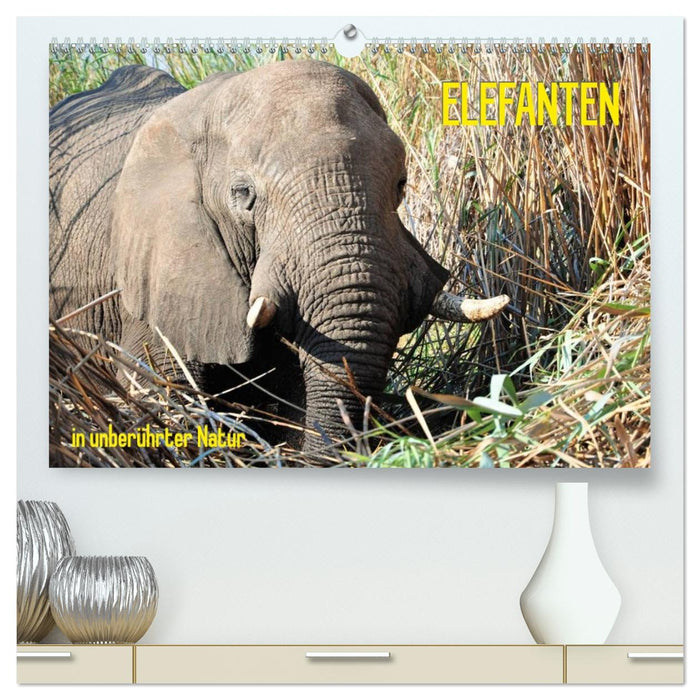 ELEFANTEN IN UNBERÜHRTER NATUR (CALVENDO Premium Wandkalender 2026)