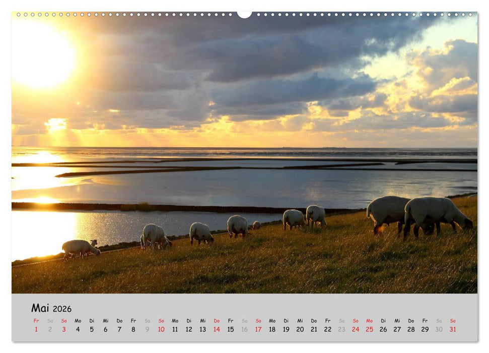Sehnsucht Natur (CALVENDO Premium Wandkalender 2026)