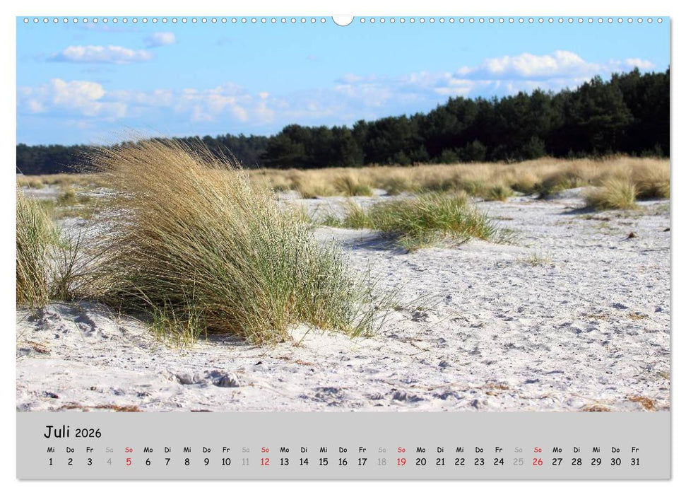 Sehnsucht Natur (CALVENDO Premium Wandkalender 2026)