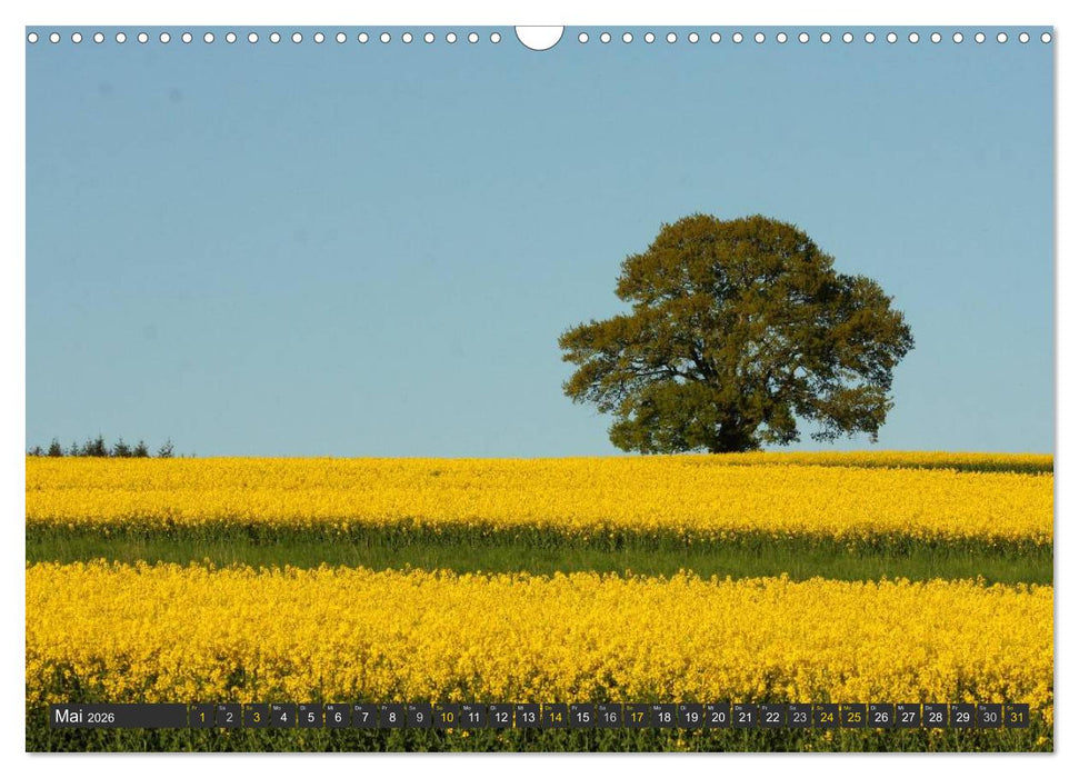 Unterwegs im Hunsrück (CALVENDO Wandkalender 2026)
