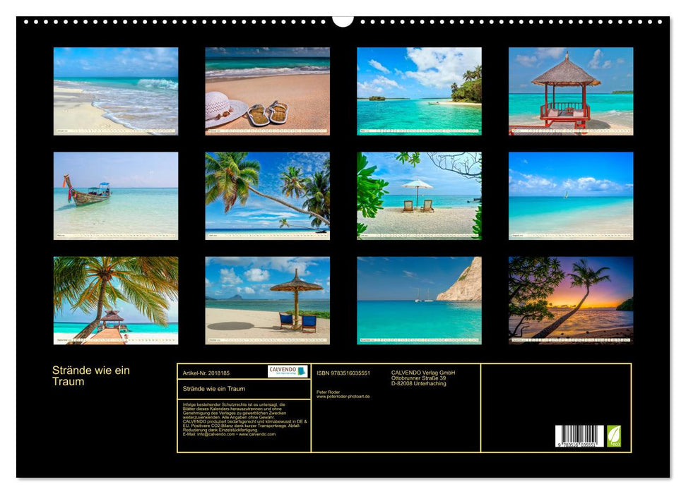 Strände wie ein Traum (CALVENDO Wandkalender 2026)