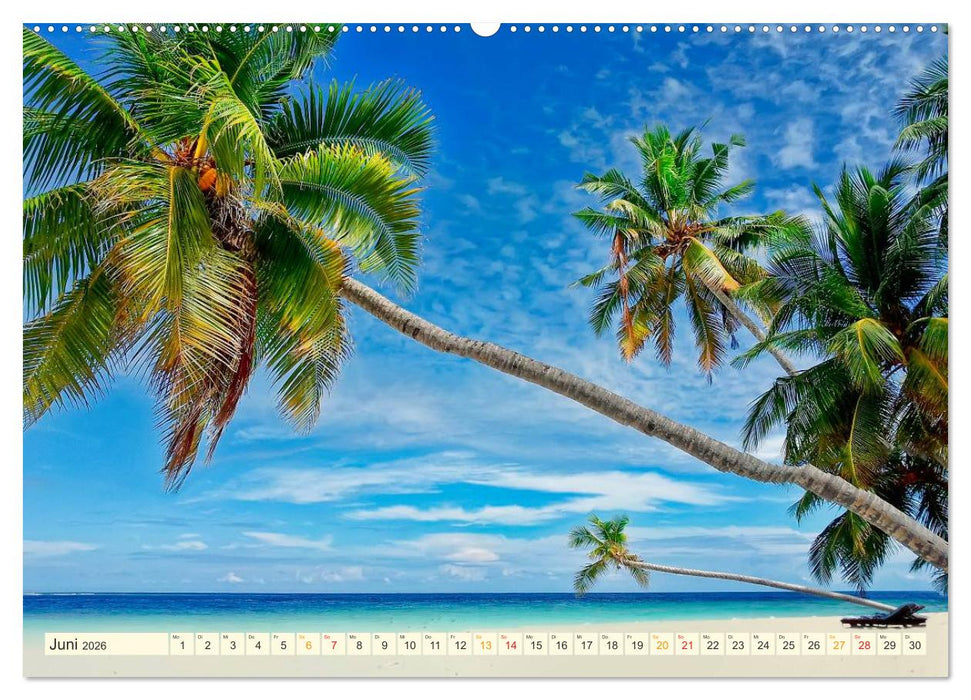 Strände wie ein Traum (CALVENDO Wandkalender 2026)