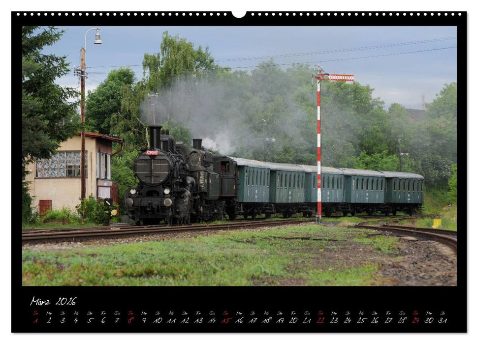 Mit Volldampf durch Mitteleuropa (CALVENDO Premium Wandkalender 2026)