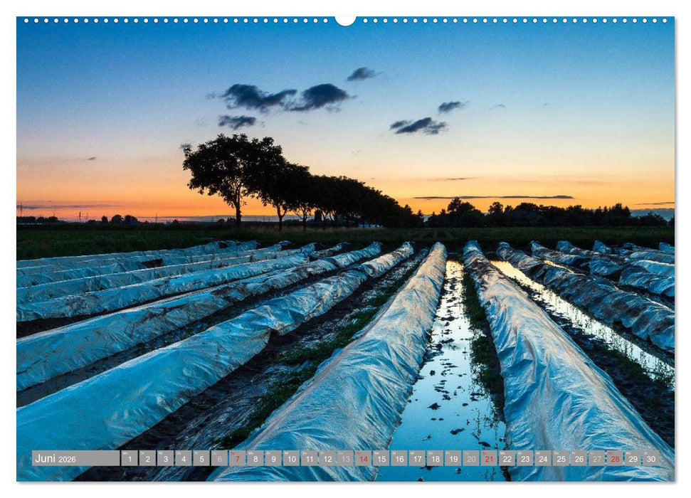 Kurpfalz 2026 (CALVENDO Wandkalender 2026)