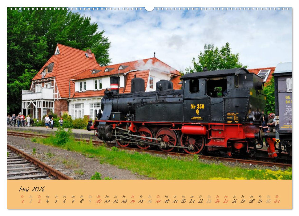 Bergedorf Hamburgs Perle an der Bille (CALVENDO Premium Wandkalender 2026)