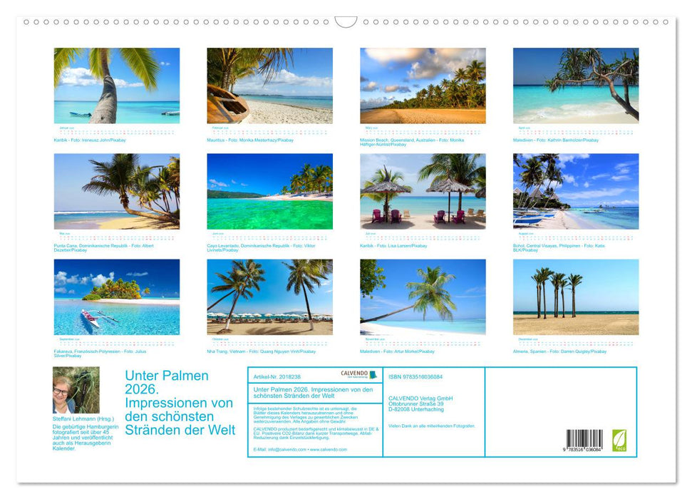 Unter Palmen 2026. Impressionen von den schönsten Stränden der Welt (CALVENDO Wandkalender 2026)