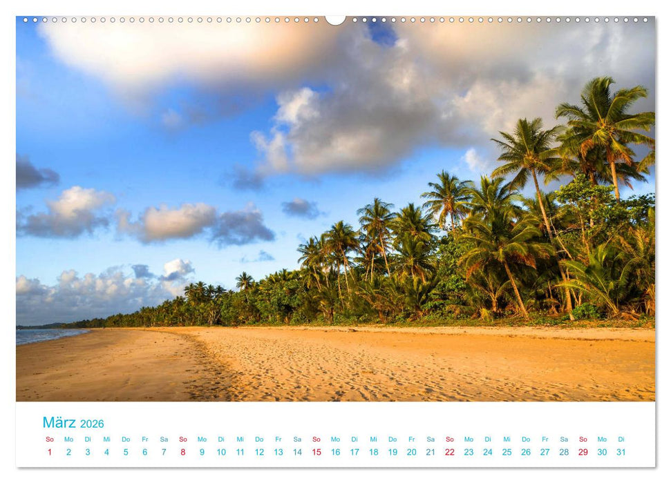 Unter Palmen 2026. Impressionen von den schönsten Stränden der Welt (CALVENDO Wandkalender 2026)