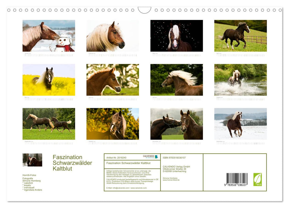 Faszination Schwarzwälder Kaltblut (CALVENDO Wandkalender 2026)