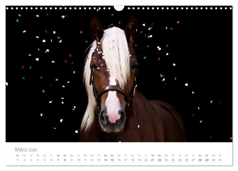 Faszination Schwarzwälder Kaltblut (CALVENDO Wandkalender 2026)