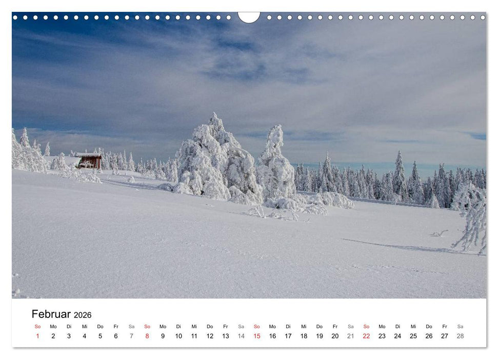 Naturerlebnis Nordschwarzwald (CALVENDO Wandkalender 2026)