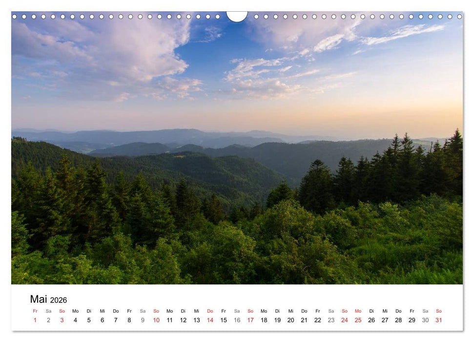 Naturerlebnis Nordschwarzwald (CALVENDO Wandkalender 2026)