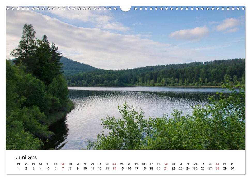 Naturerlebnis Nordschwarzwald (CALVENDO Wandkalender 2026)