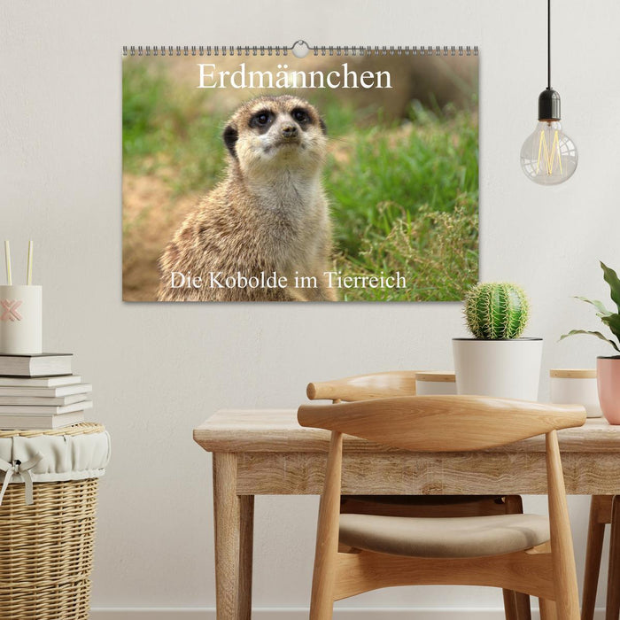 Erdmännchen - Die Kobolde im Tierreich (CALVENDO Wandkalender 2026)