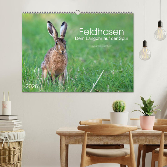 Feldhasen - dem Langohr auf der Spur (CALVENDO Wandkalender 2026)
