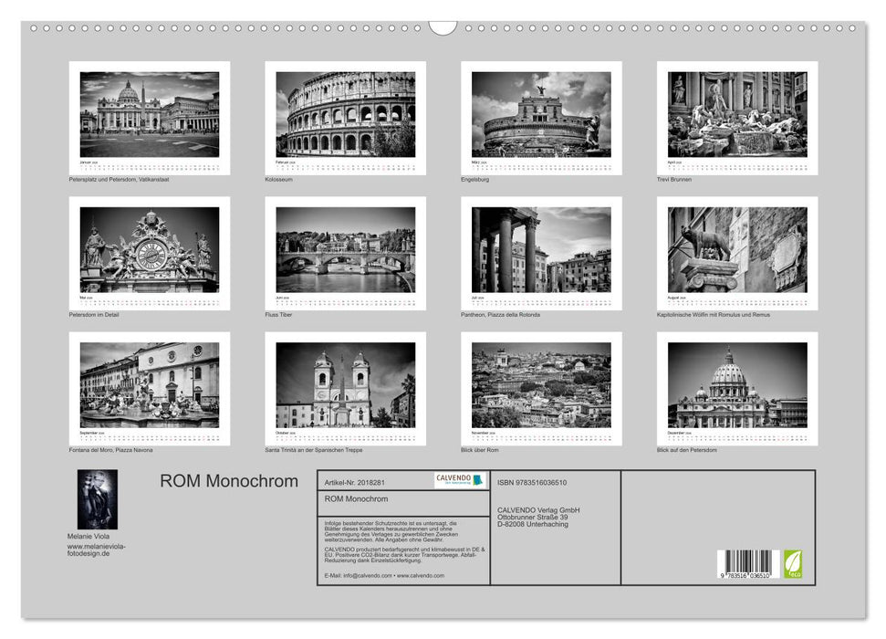 ROM Monochrom (CALVENDO Wandkalender 2026)