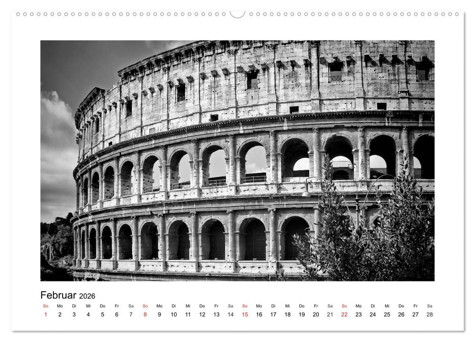 ROM Monochrom (CALVENDO Wandkalender 2026)