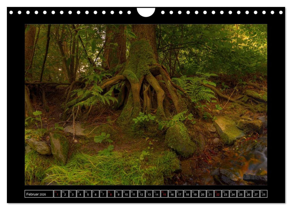 Annaberg im Erzgebirge (CALVENDO Wandkalender 2026)