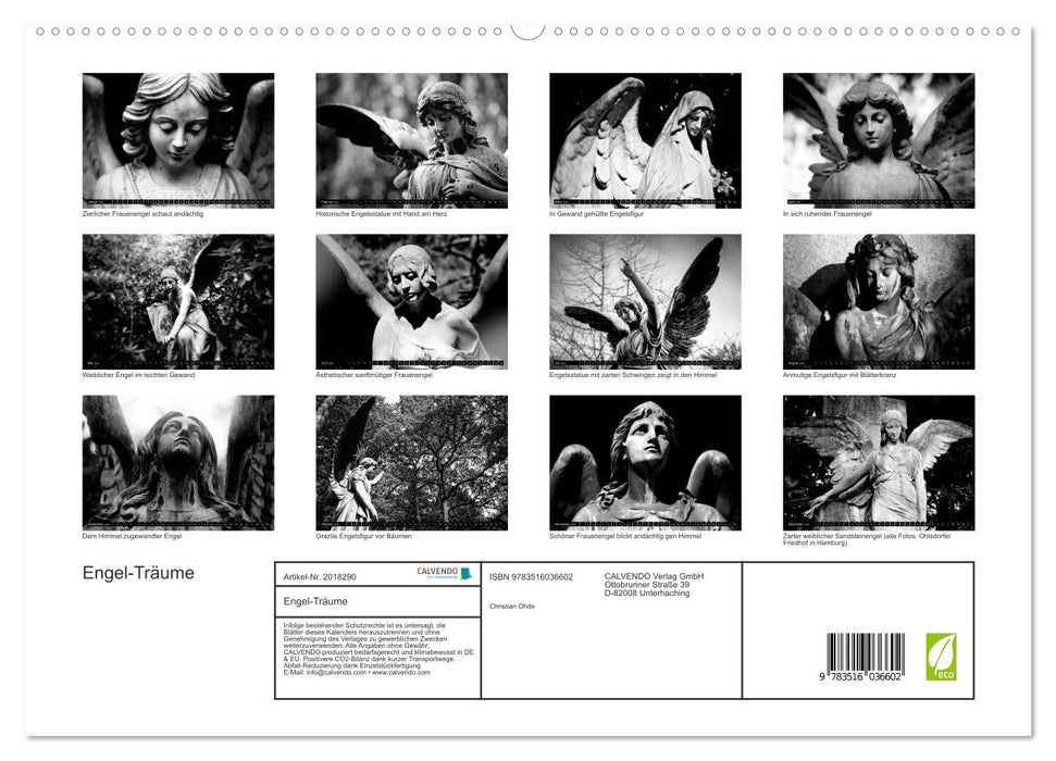 Engel-Träume (CALVENDO Premium Wandkalender 2026)