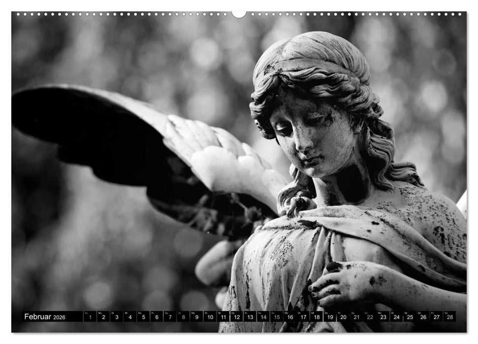 Engel-Träume (CALVENDO Premium Wandkalender 2026)