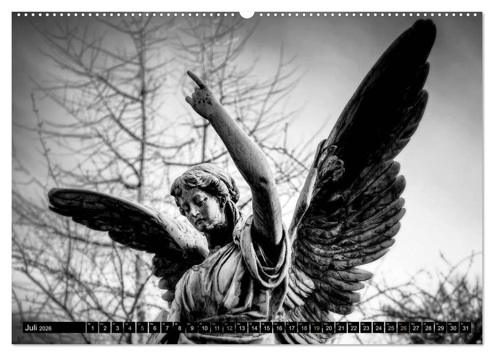 Engel-Träume (CALVENDO Premium Wandkalender 2026)