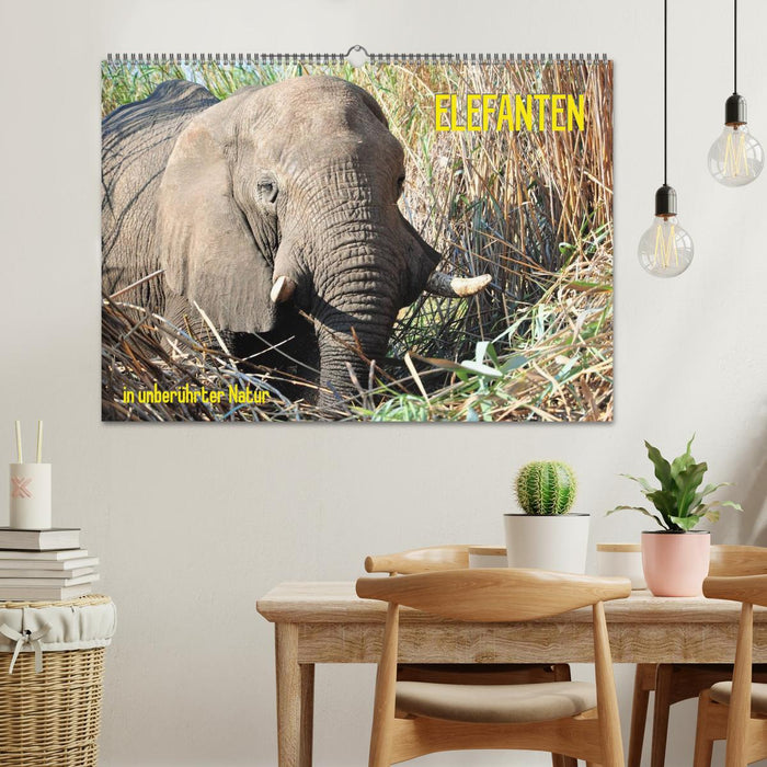 ELEFANTEN IN UNBERÜHRTER NATUR (CALVENDO Wandkalender 2026)