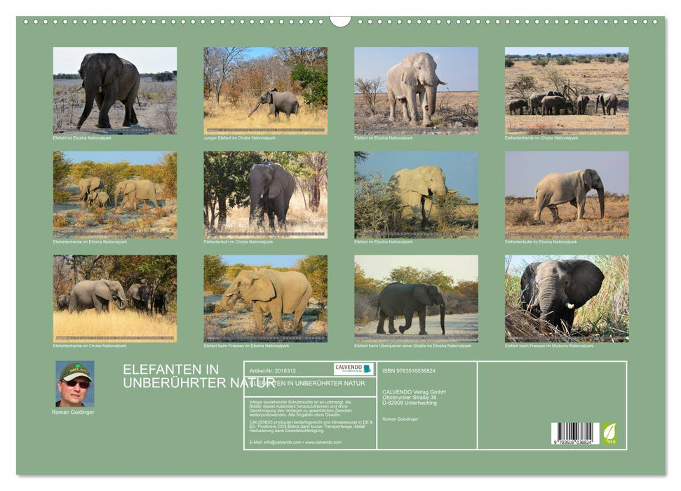 ELEFANTEN IN UNBERÜHRTER NATUR (CALVENDO Wandkalender 2026)