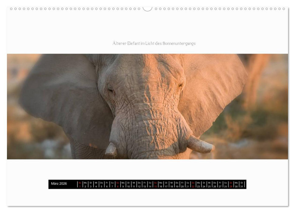 Namibia - Panoramen (CALVENDO Wandkalender 2026)