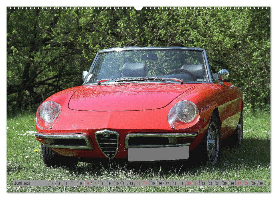 Oben ohne Oldtimer (CALVENDO Premium Wandkalender 2026)