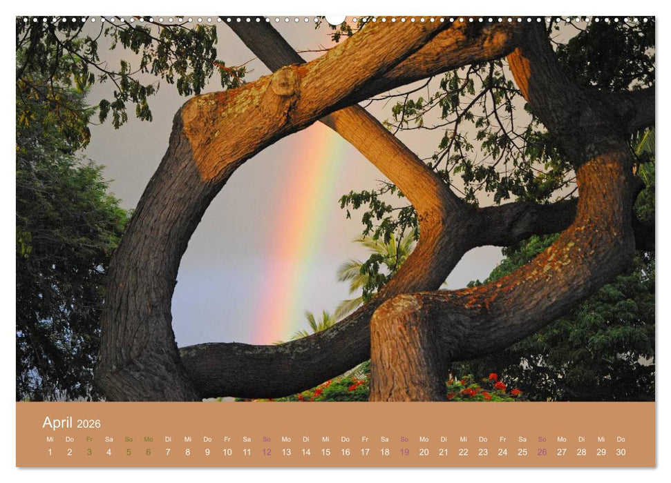 Hawaii Paradies auf Erden (CALVENDO Premium Wandkalender 2026)