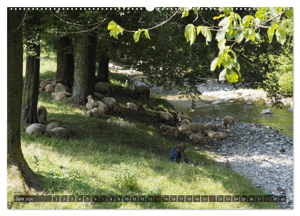 Unterwegs in und um Kronstadt (CALVENDO Premium Wandkalender 2026)