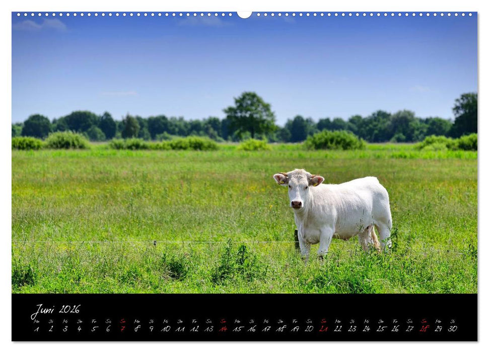 Vier- und Marschlande Hamburgs grüner Südosten (CALVENDO Premium Wandkalender 2026)