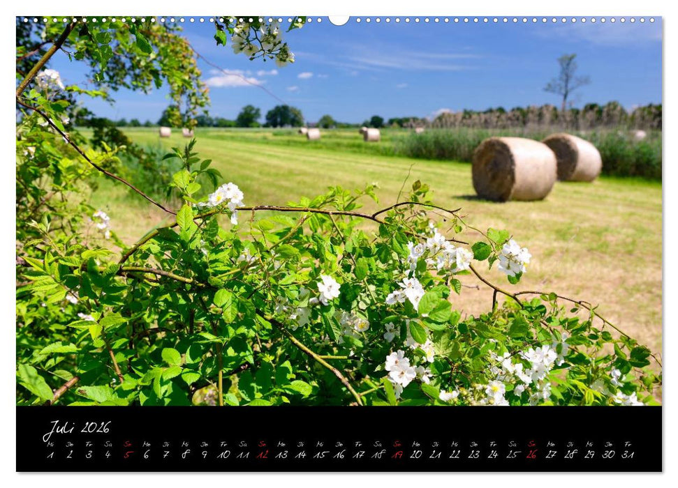 Vier- und Marschlande Hamburgs grüner Südosten (CALVENDO Premium Wandkalender 2026)