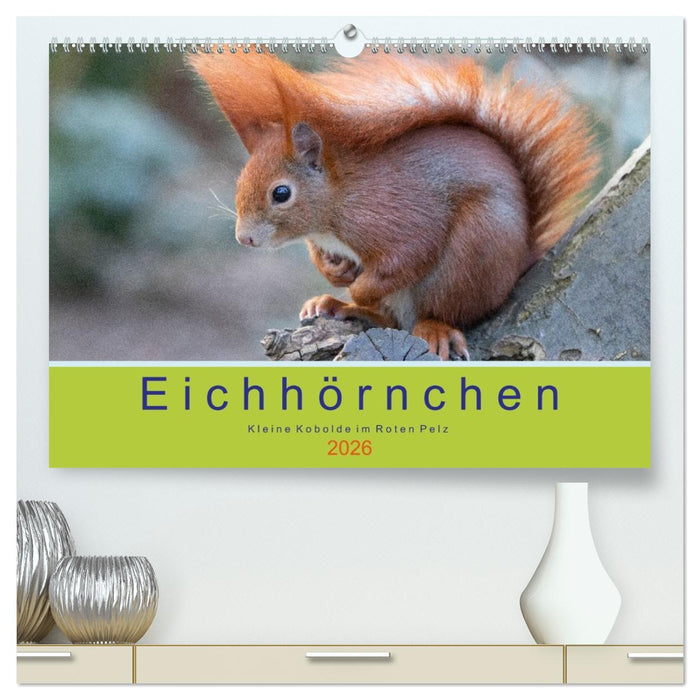 Eichhörnchen - Kleine Kobolde im Roten Pelz (CALVENDO Premium Wandkalender 2026)